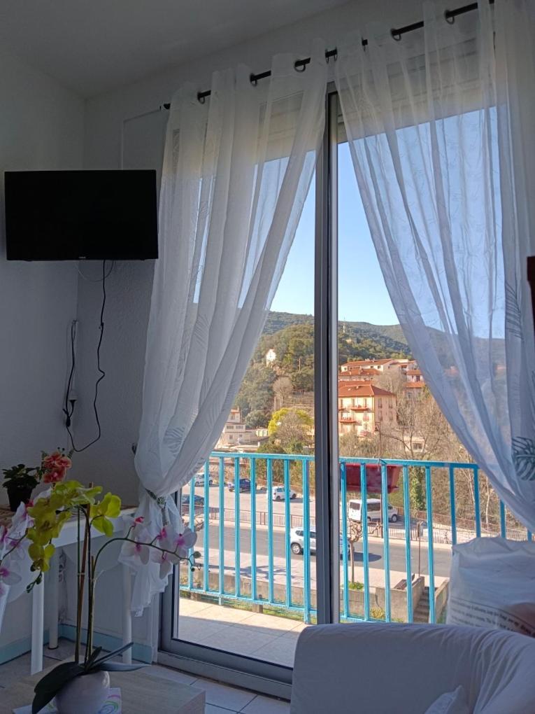 Christiane Cere Apartment Amélie-les-Bains-Palalda